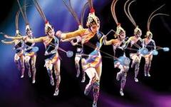 中國武漢國際雜技藝術(shù)節(jié)