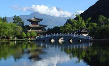 中國隨州蘭花節(jié)