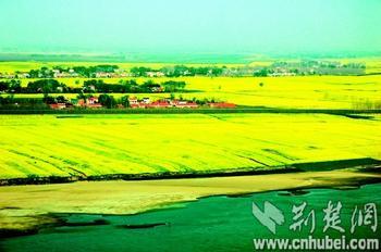 中國農谷荊門油菜花旅游節(jié)