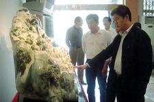 2013中國(guó)武漢國(guó)際珠寶玉石首飾博覽會(huì)