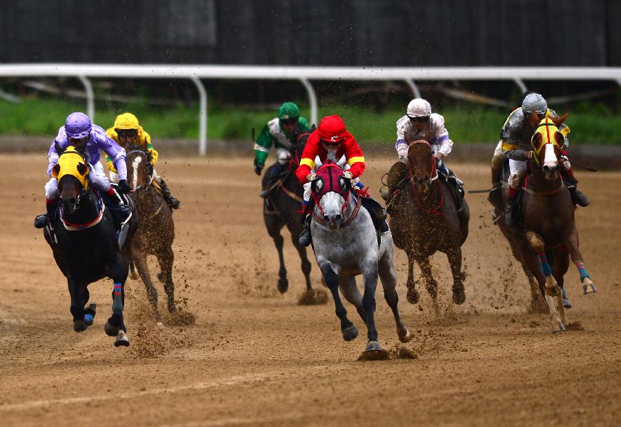 2014年全國(guó)速度賽馬錦標(biāo)賽