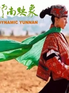 十周年盛宴演出-大型原生態(tài)歌舞集《云南映象》