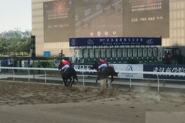 第十五屆中國(guó)武漢國(guó)際賽馬節(jié)