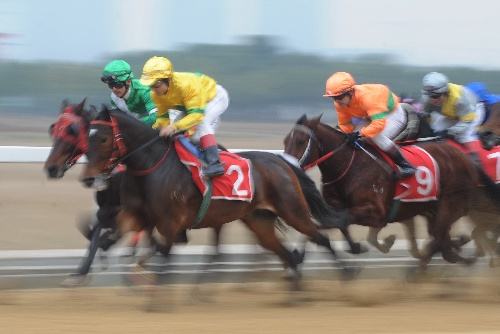 2017武漢速度賽馬公開(kāi)賽年度總決賽