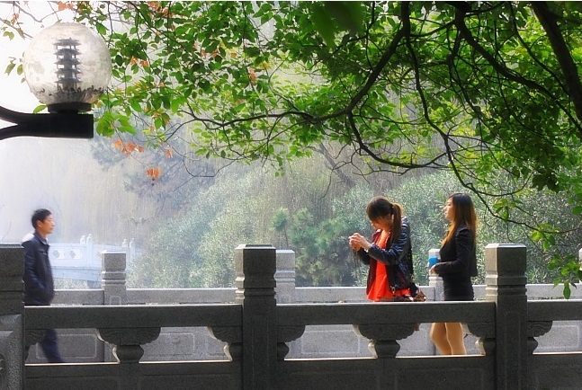 熱愛(ài)武漢的100個(gè)理由